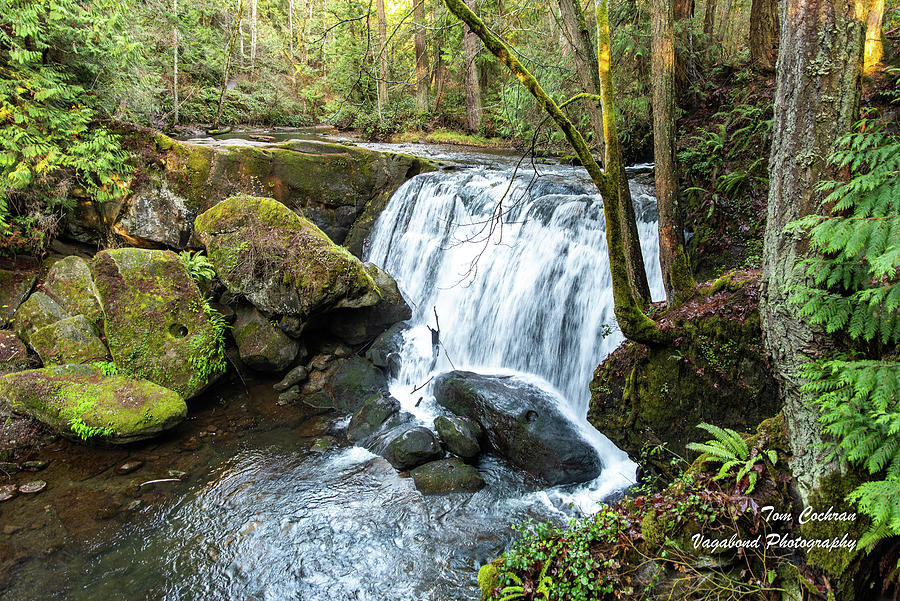 Mossy Boulders at Whatcom Falls Photograph by Tom Cochran