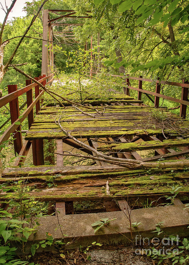 Mossy Bridge Photograph by Kevin Anderson