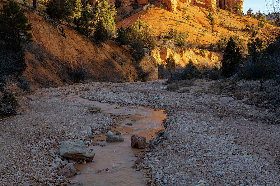 Mossy Cave Creek Trail Bryce Canyon Utah Photograph