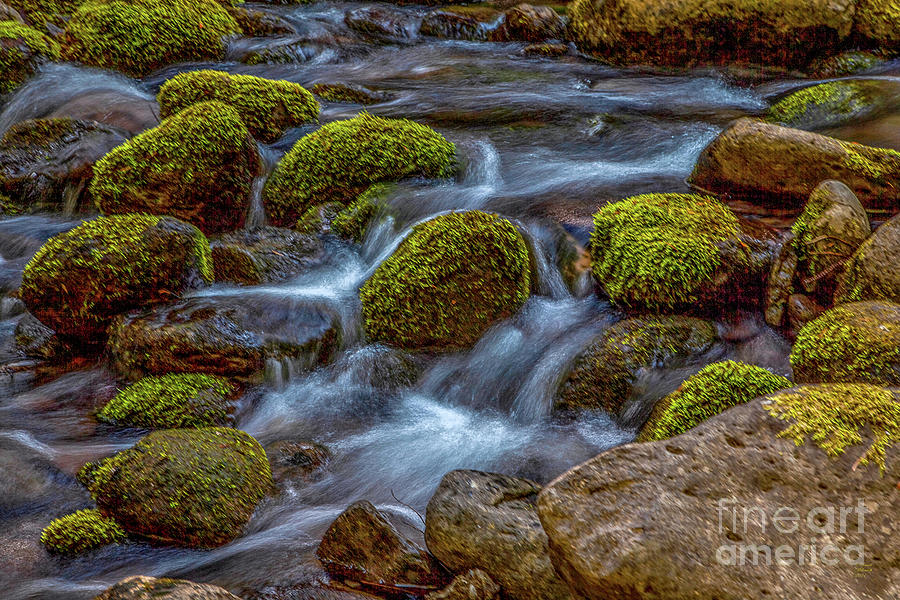 Mossy Creek Photograph by David Millenheft