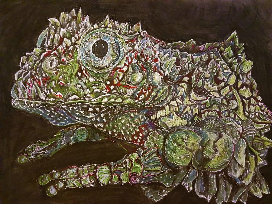Frog Drawing - Mossy Frog by Bree Neyland by Bree Neyland