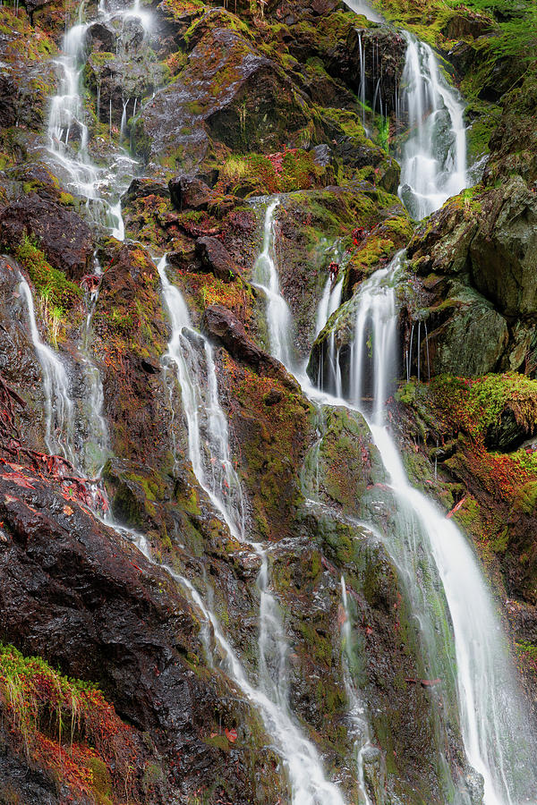 Mossy Mountain Falls Photograph by Bill Wakeley - Pixels