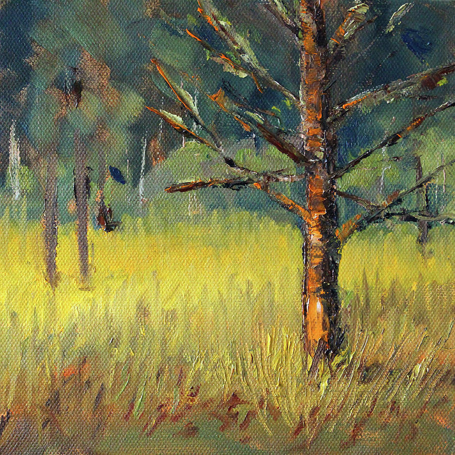 Mossy Pine Painting by Nancy Merkle