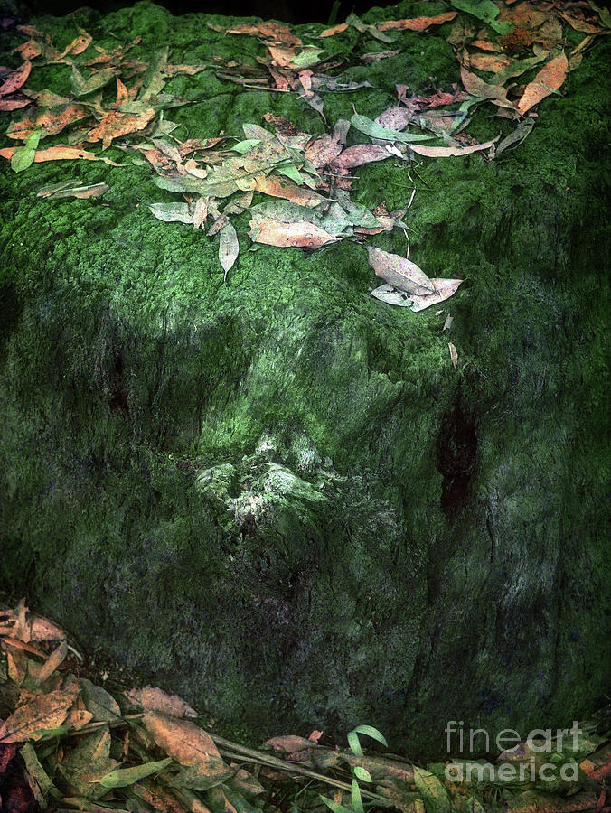 Moss Photograph - Mossy Relic by Russell Brown