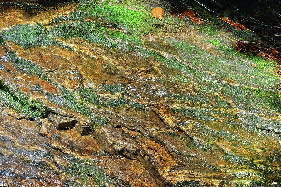 Nature Photograph - Mossy Rock Layers by Lisa Wooten