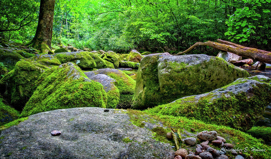 Mossy Rocks Photograph by Christopher Holmes