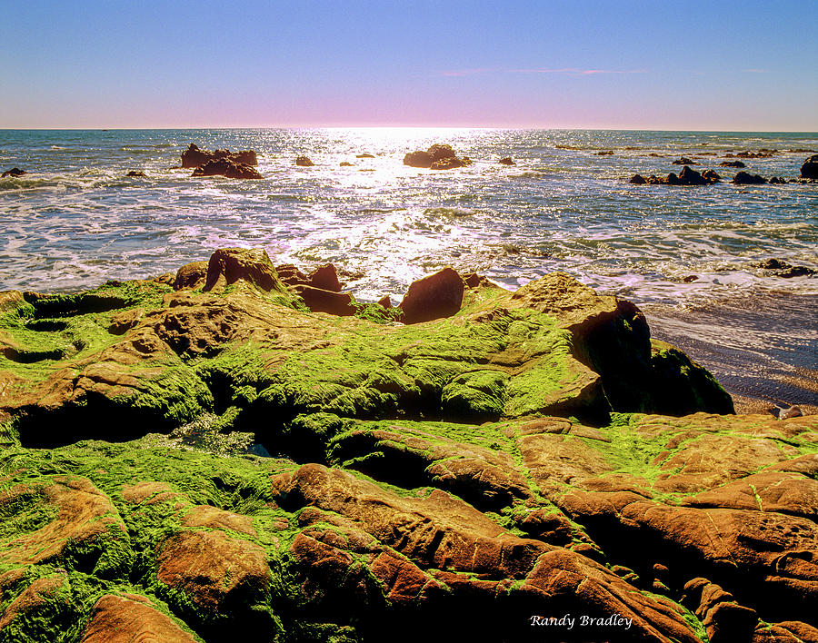 Mossy Rocks in Afternoon Sun  Photograph by Randy Bradley