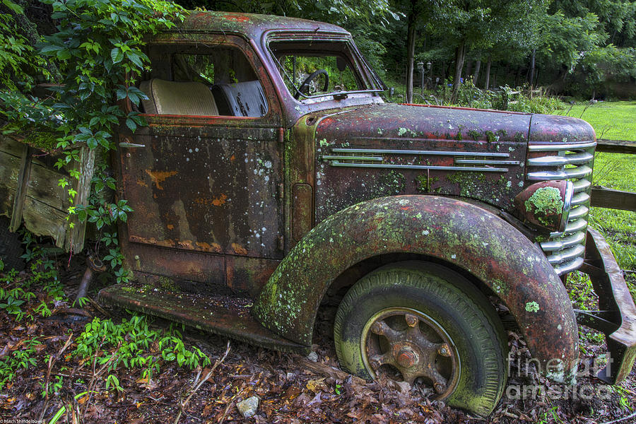Mossy Rust Photograph