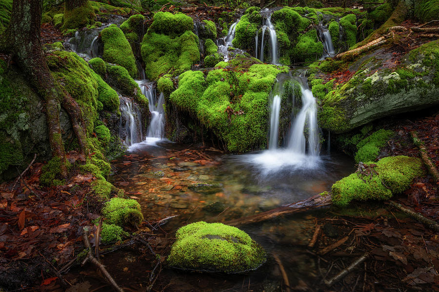 Mossy Spring Waterfall 2021 Photograph by Bill Wakeley