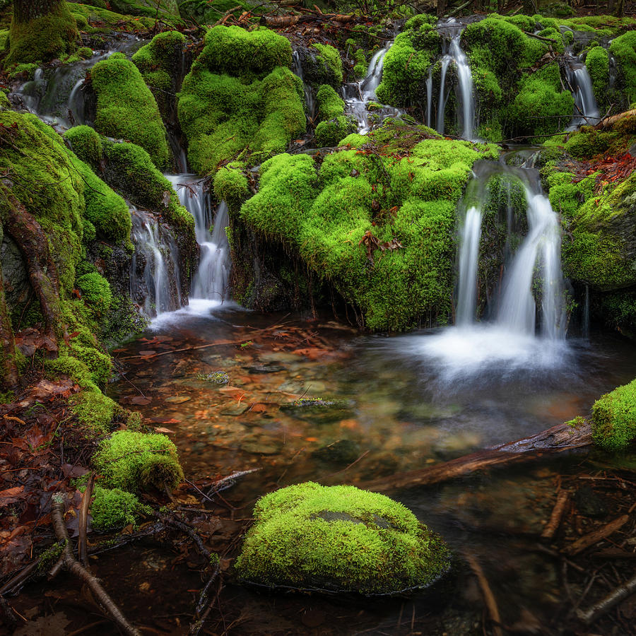 Mossy Spring Waterfall 2021 square Photograph by Bill Wakeley