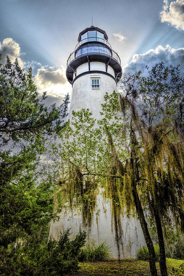 Mossy Trees at the Amelia Island Lighthouse Photograph by Debra and Dave Vanderlaan