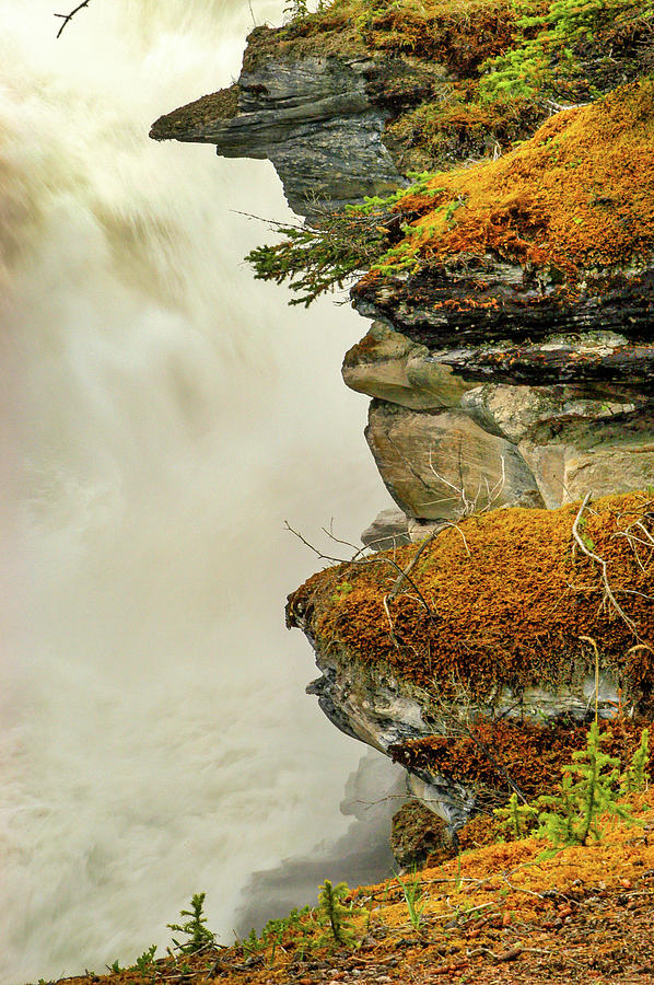 Mossy Waterfall, Canada Photograph by Mark Llewellyn