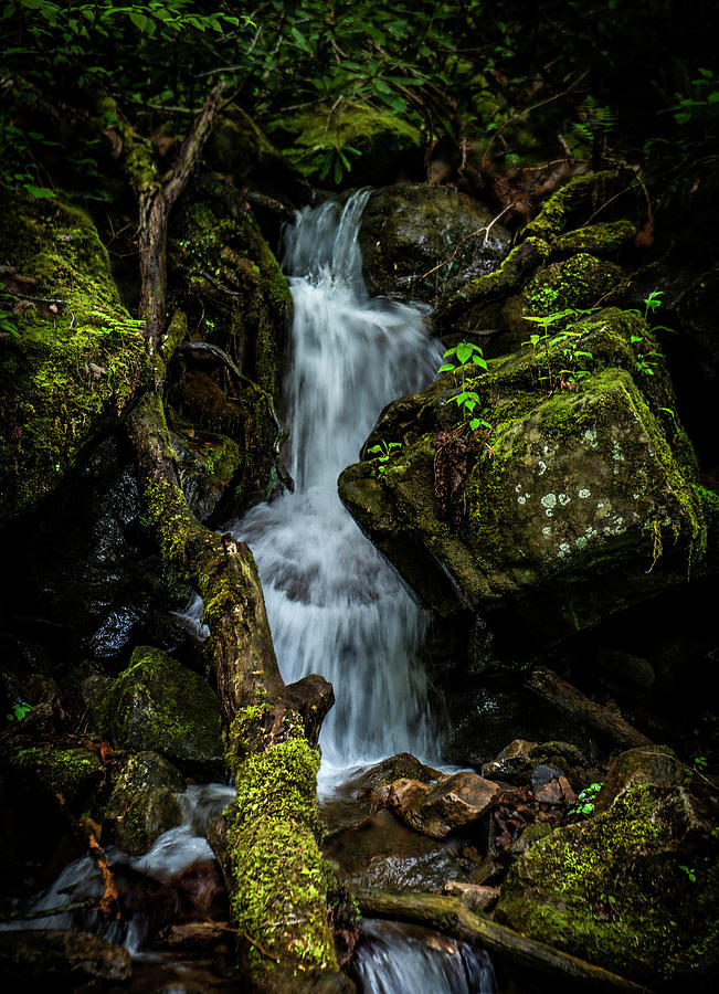 Mossy Waterfall Photograph by Lisa Lambert-Shank