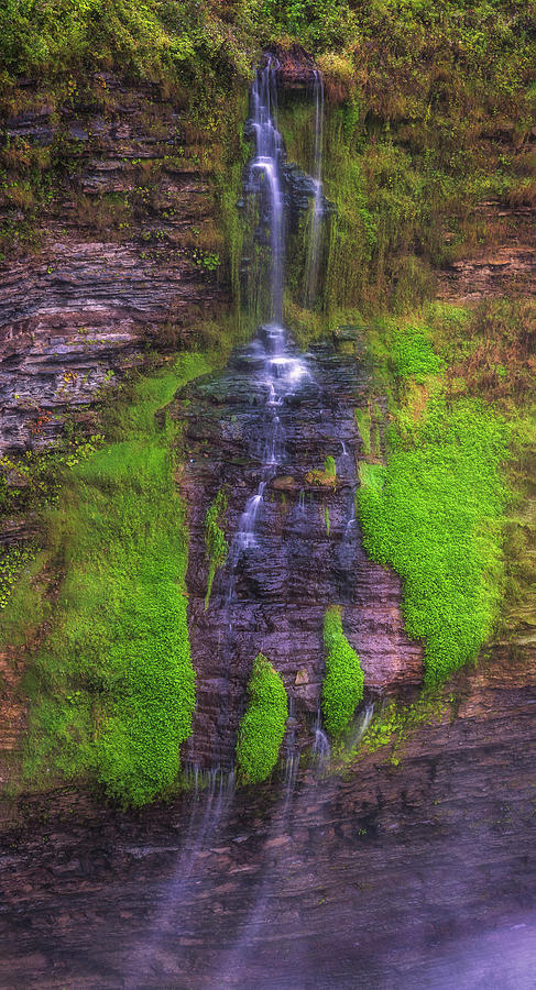 Mossy Waterfall Photograph by Samantha Kennedy