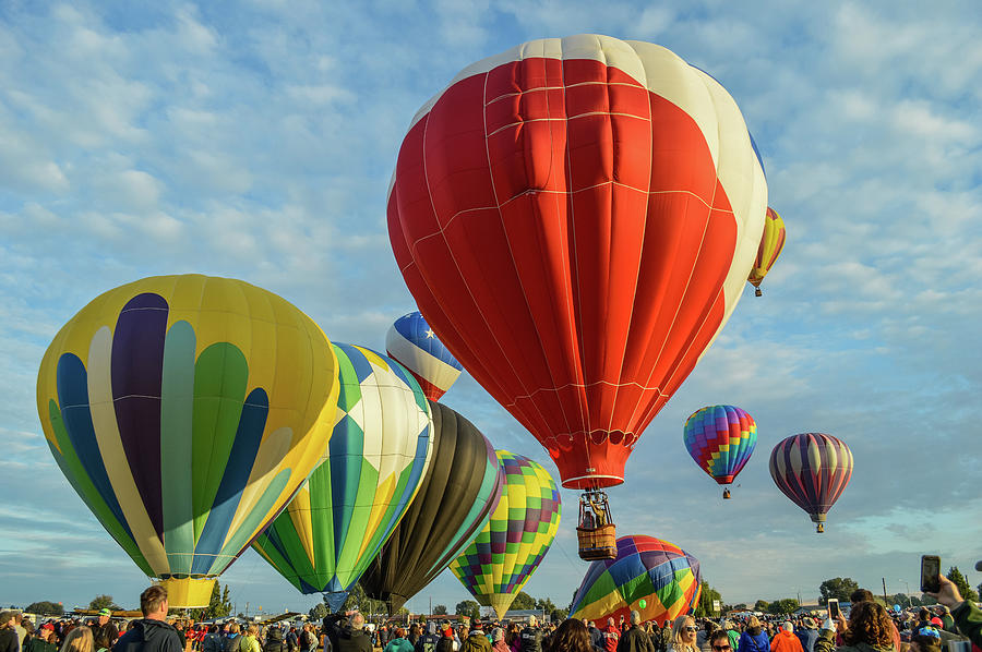 Mostly Tethered Photograph by Mark Chartier | Fine Art America