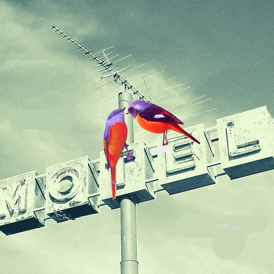 Motel Birds Digital Art