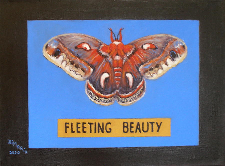 Moth #3 Painting by Donelli  DiMaria