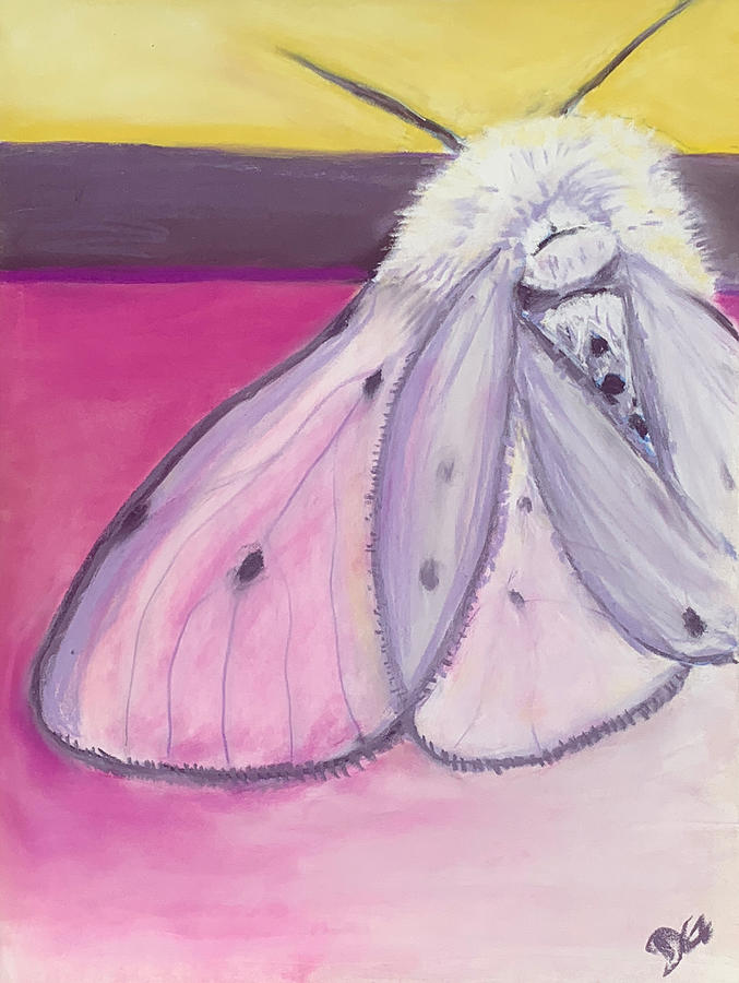 Moth Pastel by Dave Griffiths
