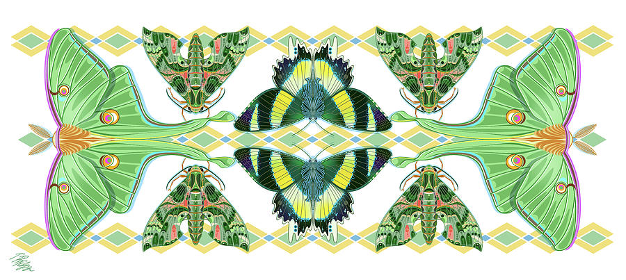 Moth Mosaic Rotatable Triptych #3 Digital Art by Tim Phelps