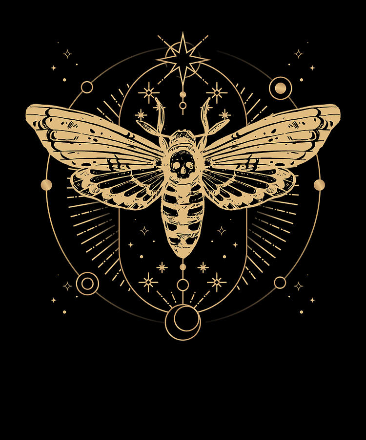 Moth Occult Aesthetic Insect Geometry Digital Art by Manuel Schmucker ...