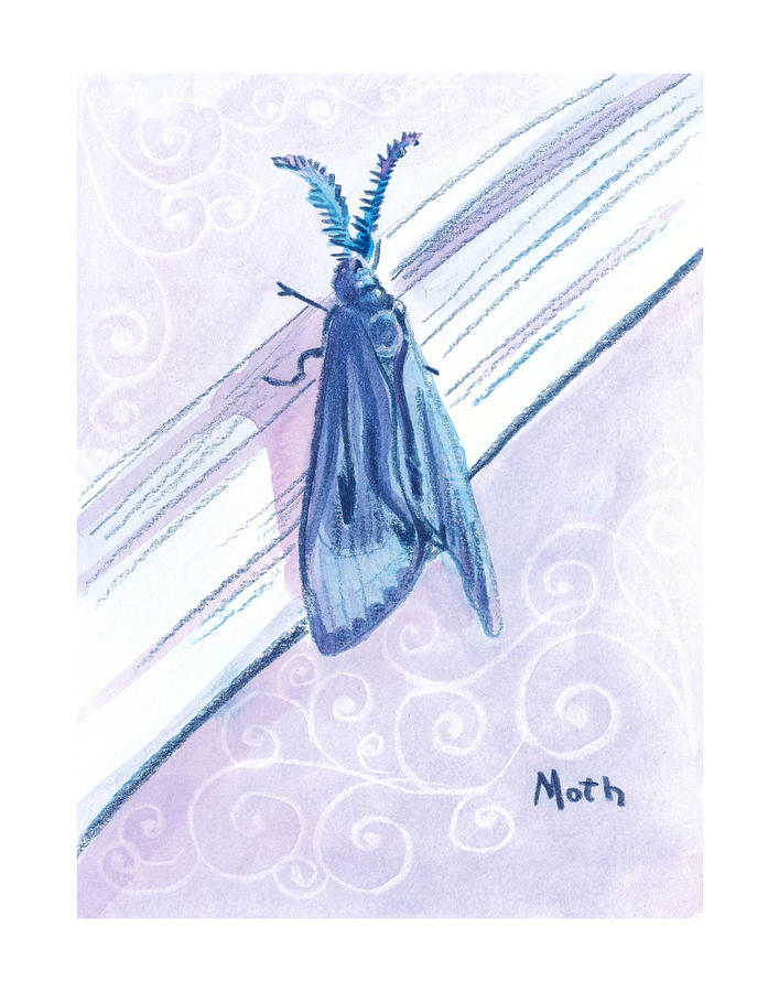 Moth Zooly 2019 Drawing
