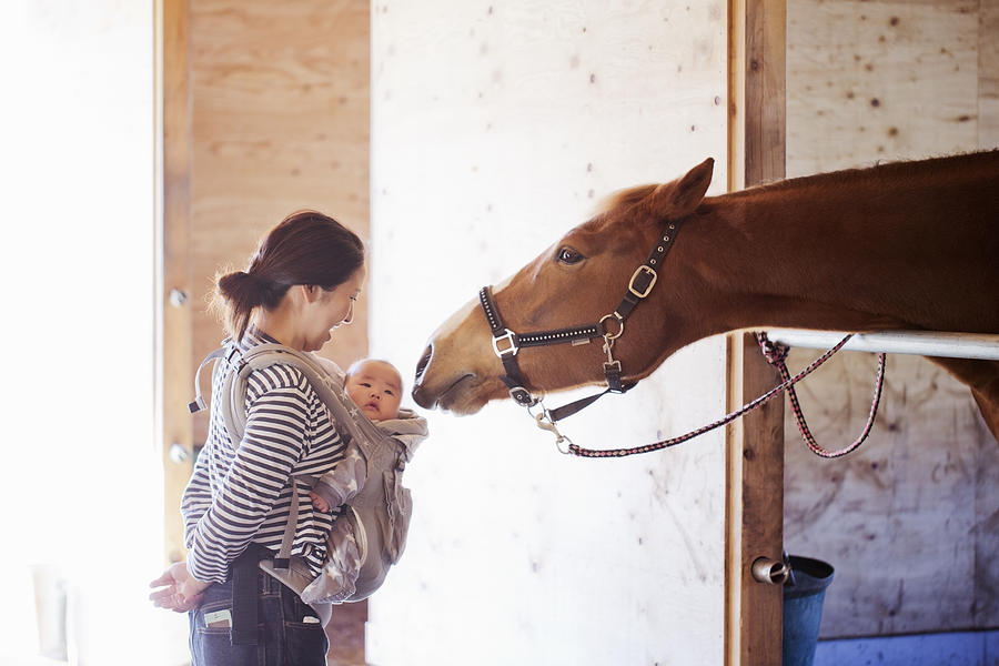 Mother and baby communicating with horse in the stable Photograph by Kohei Hara
