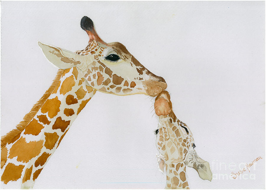 Mother And Baby Giraffe Painting By Susie Newman Pixels   Mother And Baby Giraffe Susie Newman 