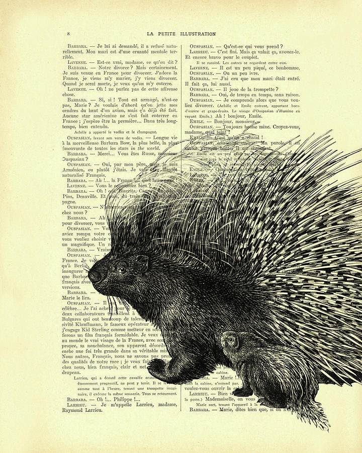 Black And White Mixed Media - Mother And Baby Porcupine by Madame Memento