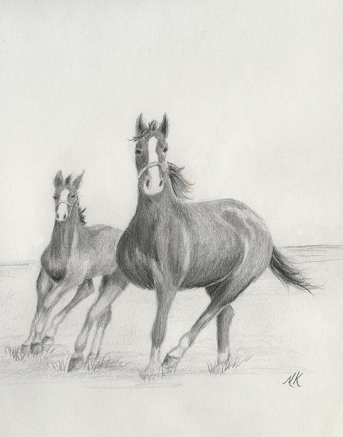 Mother and Colt - Two Horses Running Drawing by Melodie Kantner