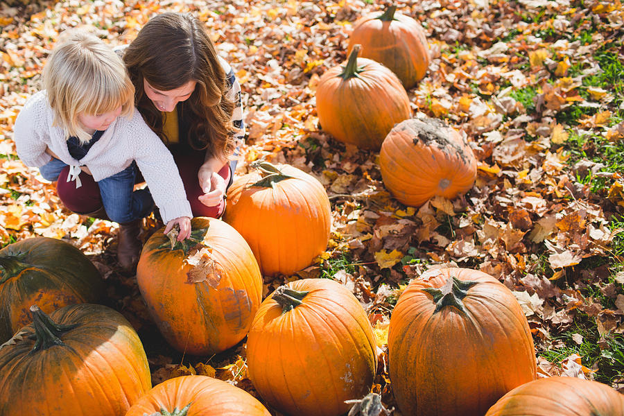 Mother and female toddler choosing pumpkins Photograph by Cultura RM Exclusive/Hugh Whitaker