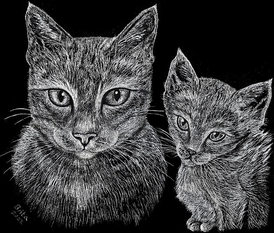 Mother And Kittten Drawing By Brita Rose 