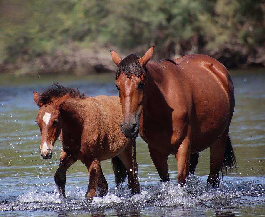 Mother and Son Photograph by Christine Burkhart - Fine Art America