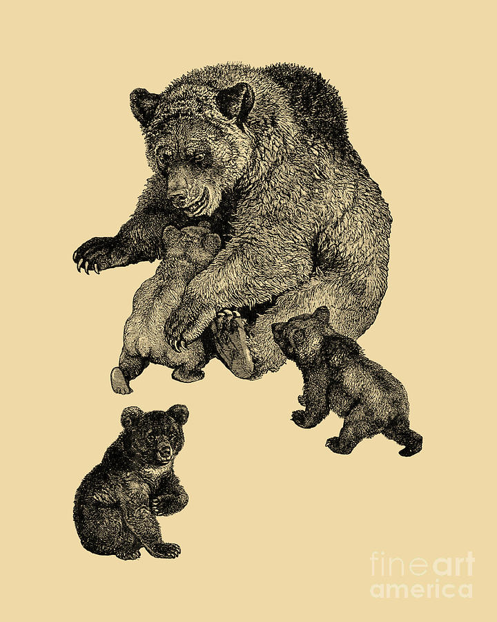 Wildlife Digital Art - Mother Bear And Cubs by Madame Memento