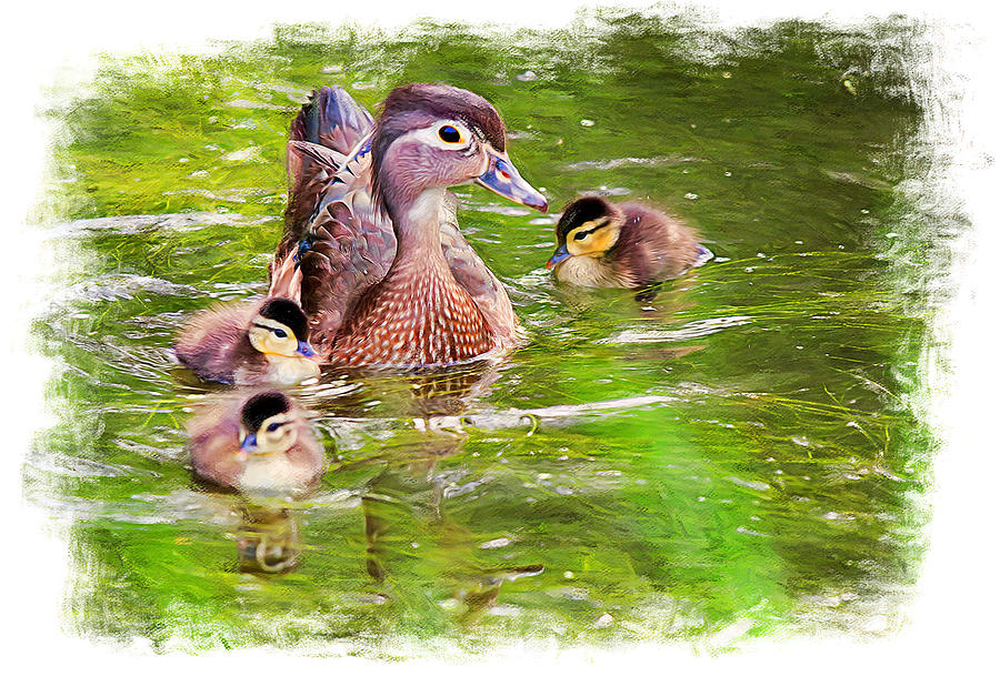 Mother duck Digital Art by Tatiana Travelways
