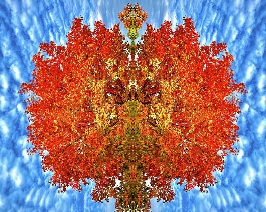 Mother Natures Kaleidoscope Photograph by Bill Swartwout
