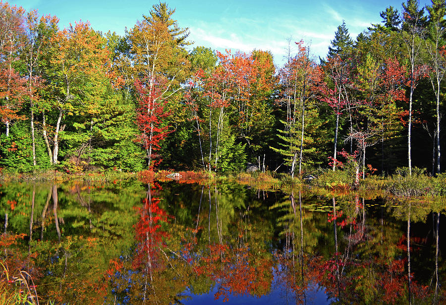 Mother Natures Mirror 011 Photograph by George Bostian - Pixels