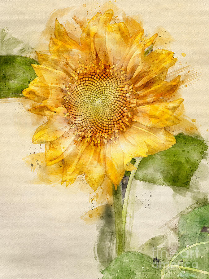 Mother Natures Pinwheel Digital Art by Lois Bryan