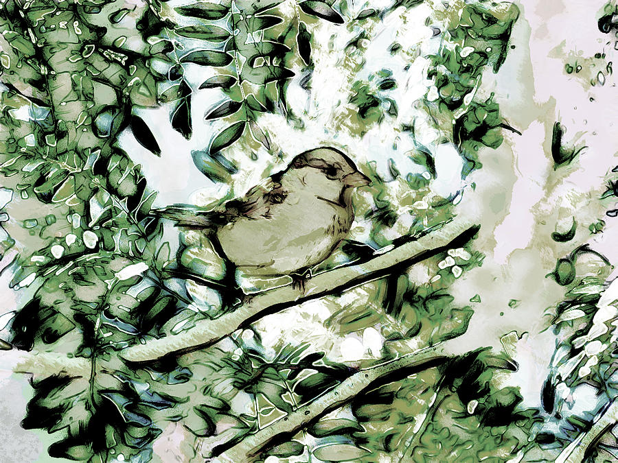 Mother Sparrow Digital Art by Leslie Montgomery