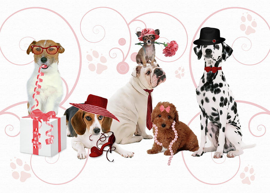 Mothers Day for Dog Lover in Pink Digital Art by Doreen Erhardt