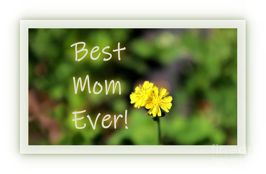 Best Mom Ever Mothers Day Greeting Photograph