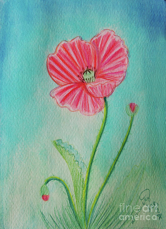 Mothers Day Poppy Painting by Dorothy Lee