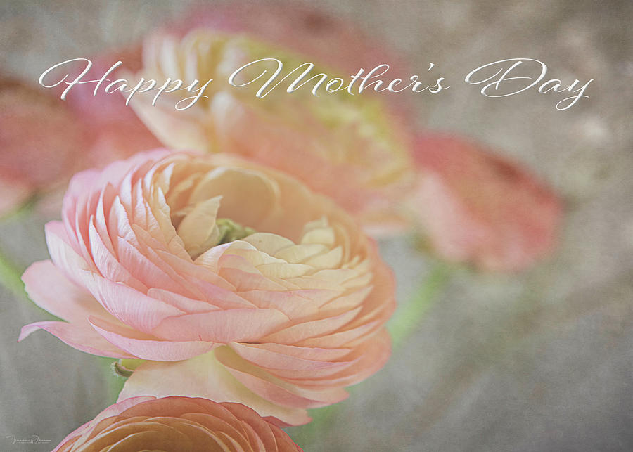 Mothers Day Ranunculus  Photograph by Teresa Wilson