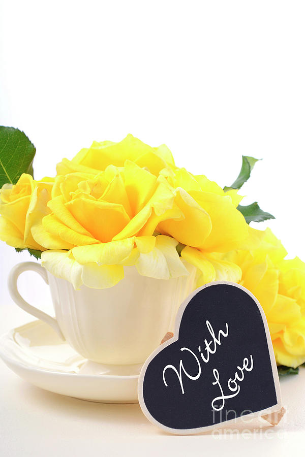 Spring Photograph - Mothers Day yellow roses by Milleflore Images