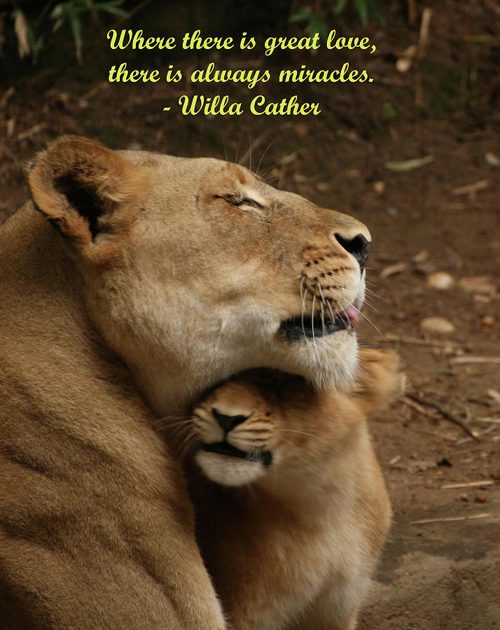 Mothers Love Inspirational Photograph by Laurie Lago Rispoli