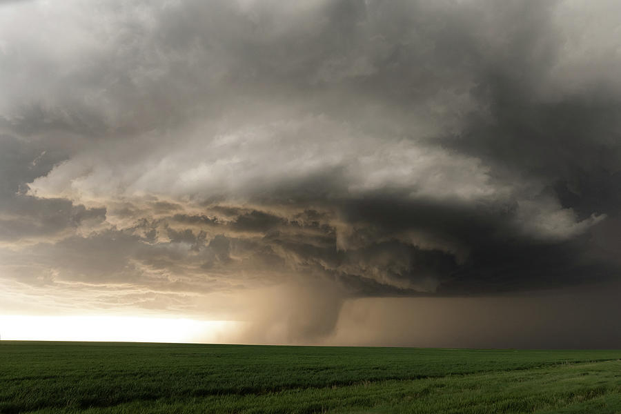 Mothership Photograph by Chandler Weber - Fine Art America