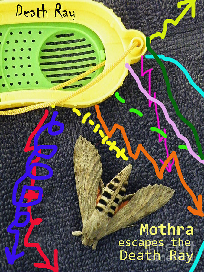 Humor Photograph - Mothra Escapes by Joe Pratt