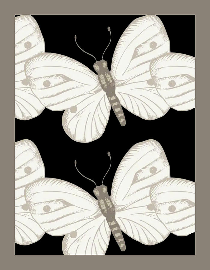 Moths With Fragile Wings Together  Digital Art by Fine Art by Alexandra