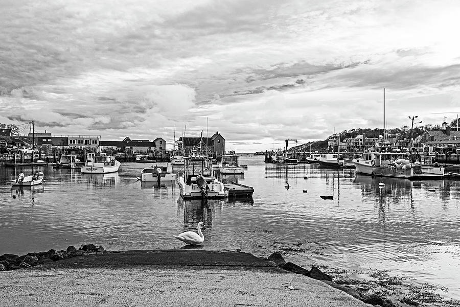 Motif #1 Swan Rockport MA Black and White Photograph by Toby McGuire