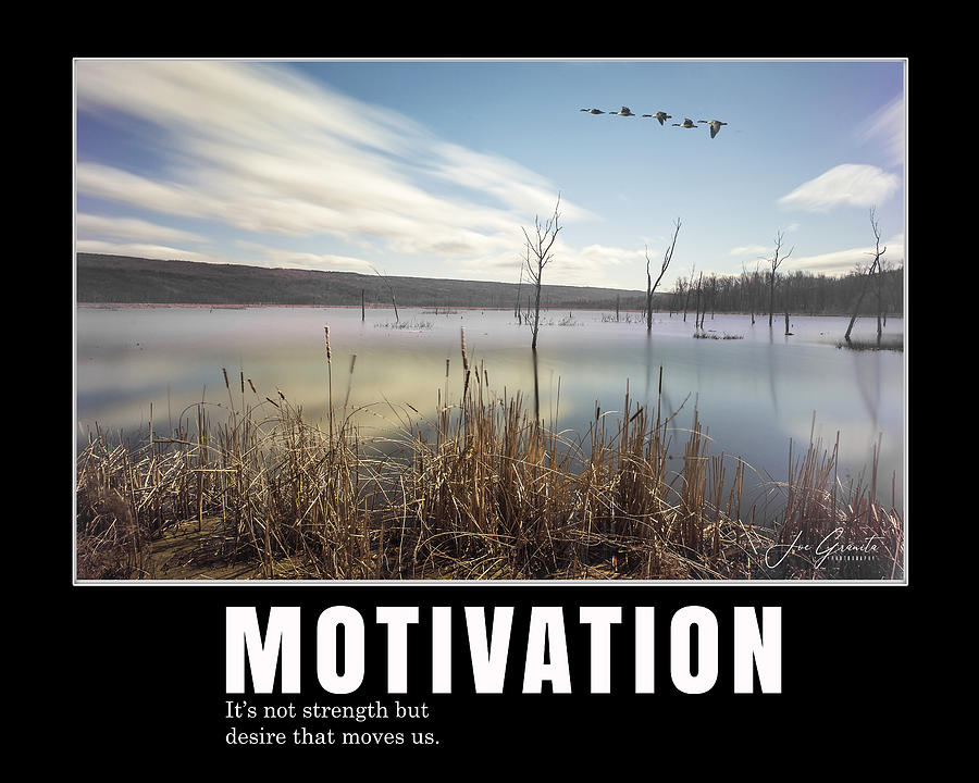 Motivation Photograph by Joe Granita