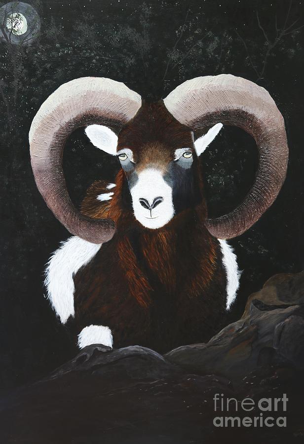 Mouflon Ram Painting by Myrna Walsh